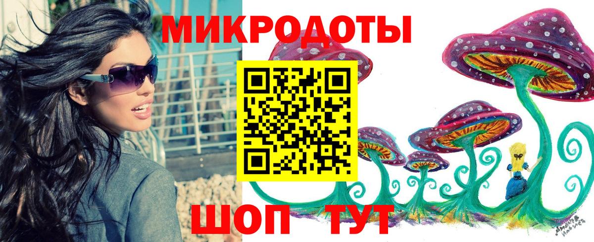 Псилоцибиновые грибы мицелий Домодедово