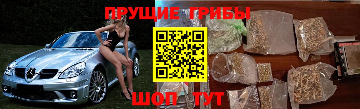 Галлюциногенные грибы мухоморы  Псилоцибиновые грибы Psilocybine cubensis  Домодедово  Вход с VPN 